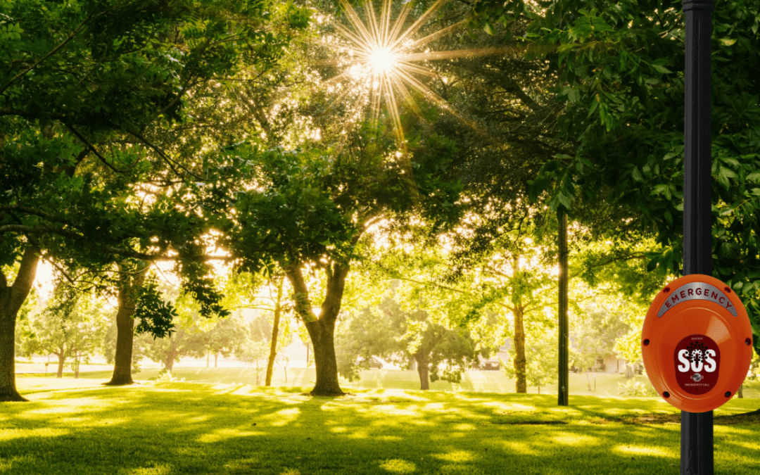 Ipswich City Council