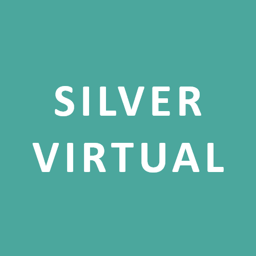 School Silver Virtual